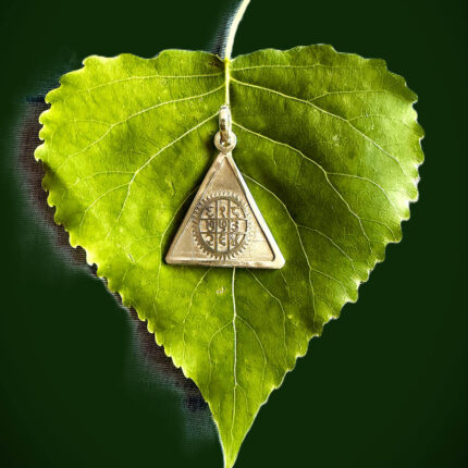 Surya Yantra placed on a green leaf with a dark green background.