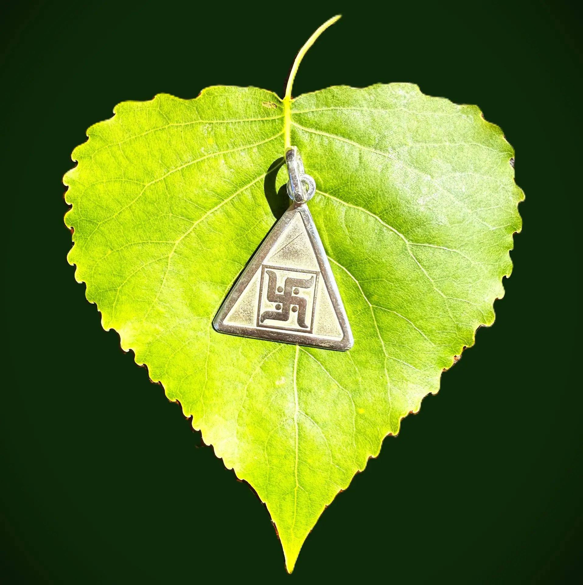 Backside of a silver yantra pendant with embossed swastik symbol, placed on a green leaf against emerald green background